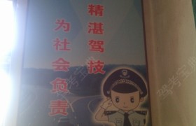 白银大森林驾校