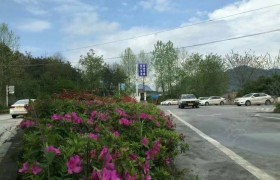 重庆顺发驾校