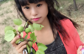 朔州朔州驾校