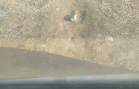 齐齐哈尔讷河驾校