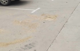 新乡新合众驾校