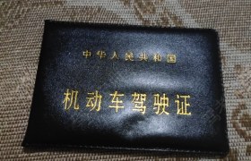 重庆路音驾校