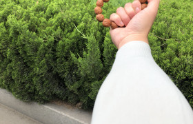 唐山百吉兴驾校