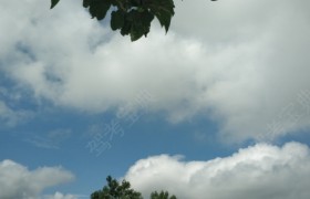 邢台永安驾校
