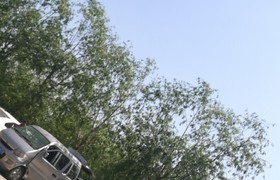 潍坊三维驾校