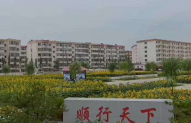 朔州顺大驾校
