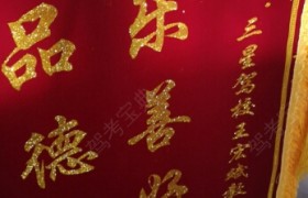 庆阳三星驾校