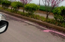 鹤壁大众驾校