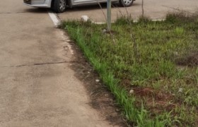 衡阳荣安驾校