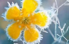 许昌华春驾校