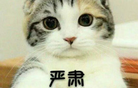 芜湖明辉驾校