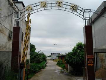 雄腾驾校