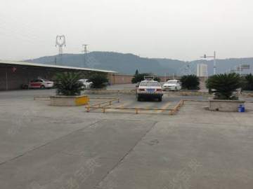 大众驾校