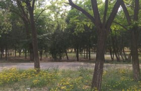 北京西郊驾校