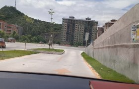 惠州平安驾校