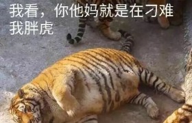 安阳兴贤驾校