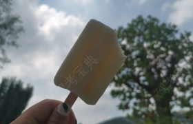 临沂蒙阴乐御驾校