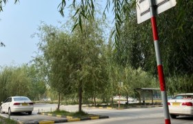 菏泽永顺驾校