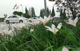眉山兴欣驾校
