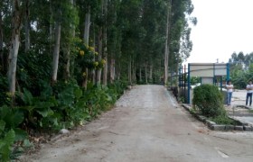 广州电车驾校