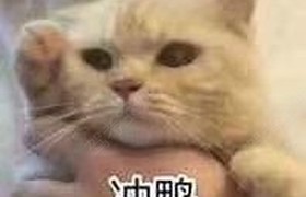 成都博成驾校