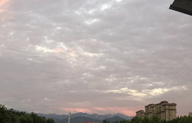 青岛丰晟驾校