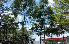 玉林锐途驾校