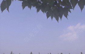 临沂铭泽驾校