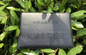 宜昌城洋驾校