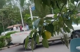 赣州于都驾校