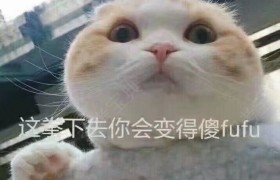 北京汇联驾校
