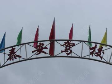泰安驾校