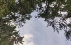 周口益民驾校