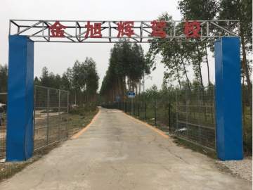 金旭辉驾校
