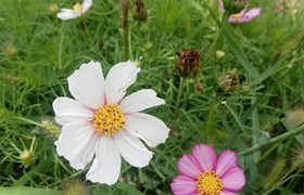 临夏回族自治州众通驾校
