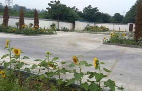 洛阳立兴驾校