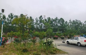 周口交通驾校