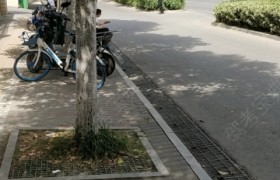 蚌埠恒大驾校