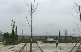 保定河大驾校