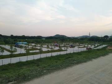 爱轮驾校