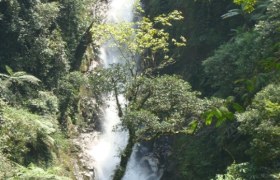 红河哈尼族彝族自治州鸿达驾校