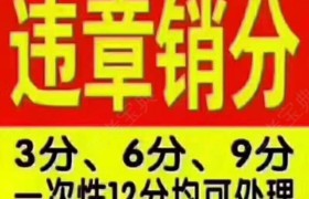 白城鹤城驾校