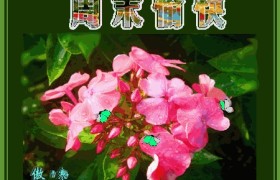伊犁哈萨克自治州安驰驾校