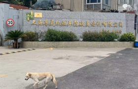 上海尊昊驾校