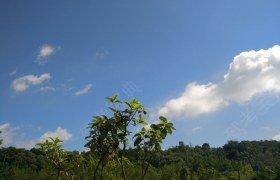 江门运通驾校