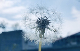 洛阳顺驰驾校