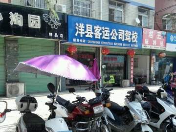 洋县客运驾校