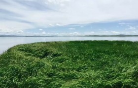 西安顺峰驾校