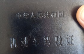 巴音郭楞蒙古自治州东归驾校