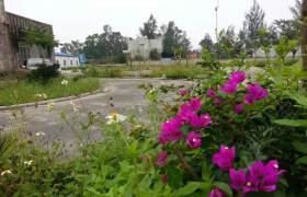 万宁金鹏驾校